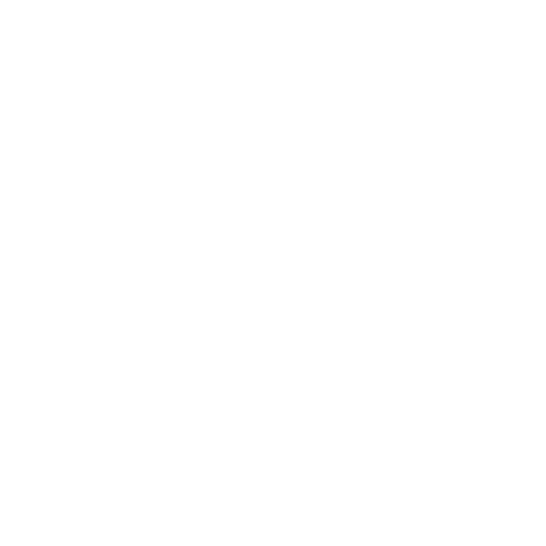 carIcon